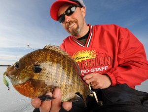 Team Northland angler with an Ice fishing Bluegill