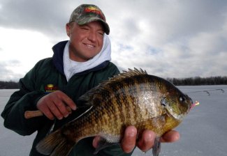 Tony Roach with a bluegill caught ice fishing