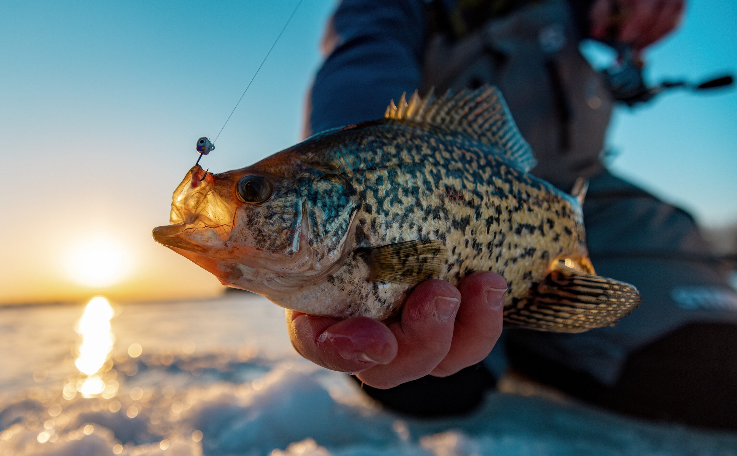 Must Have Tungsten Ice Jig | Northland Fishing Tackle