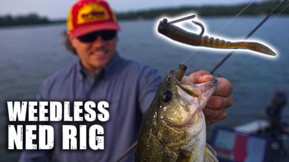 Ned Rig Bass Fishing
