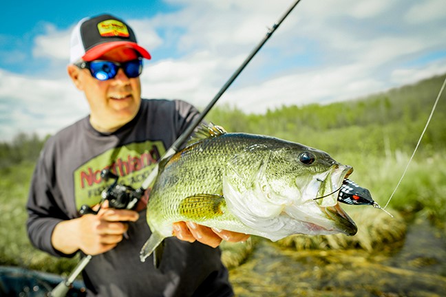 Walking Popping Topwater Frogs