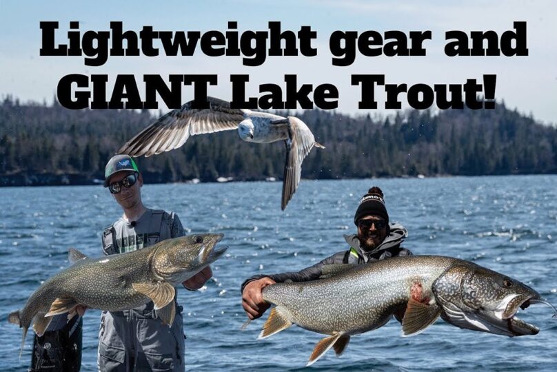 Shallow Springtime Lake Trout
