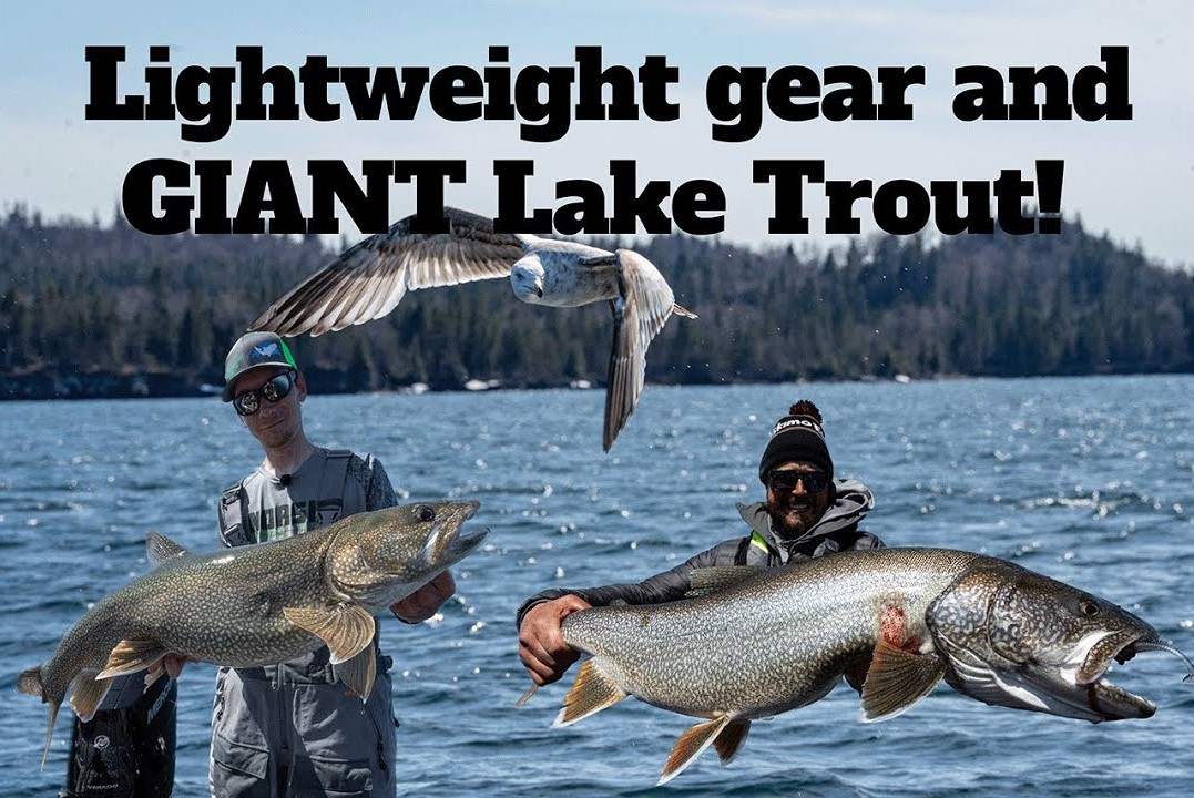 Shallow Springtime Lake Trout | Northland Fishing Tackle