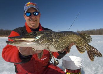 A fisherman holding up a northern pike he caught while ice fishing.