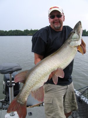 Big 53" inch muskie