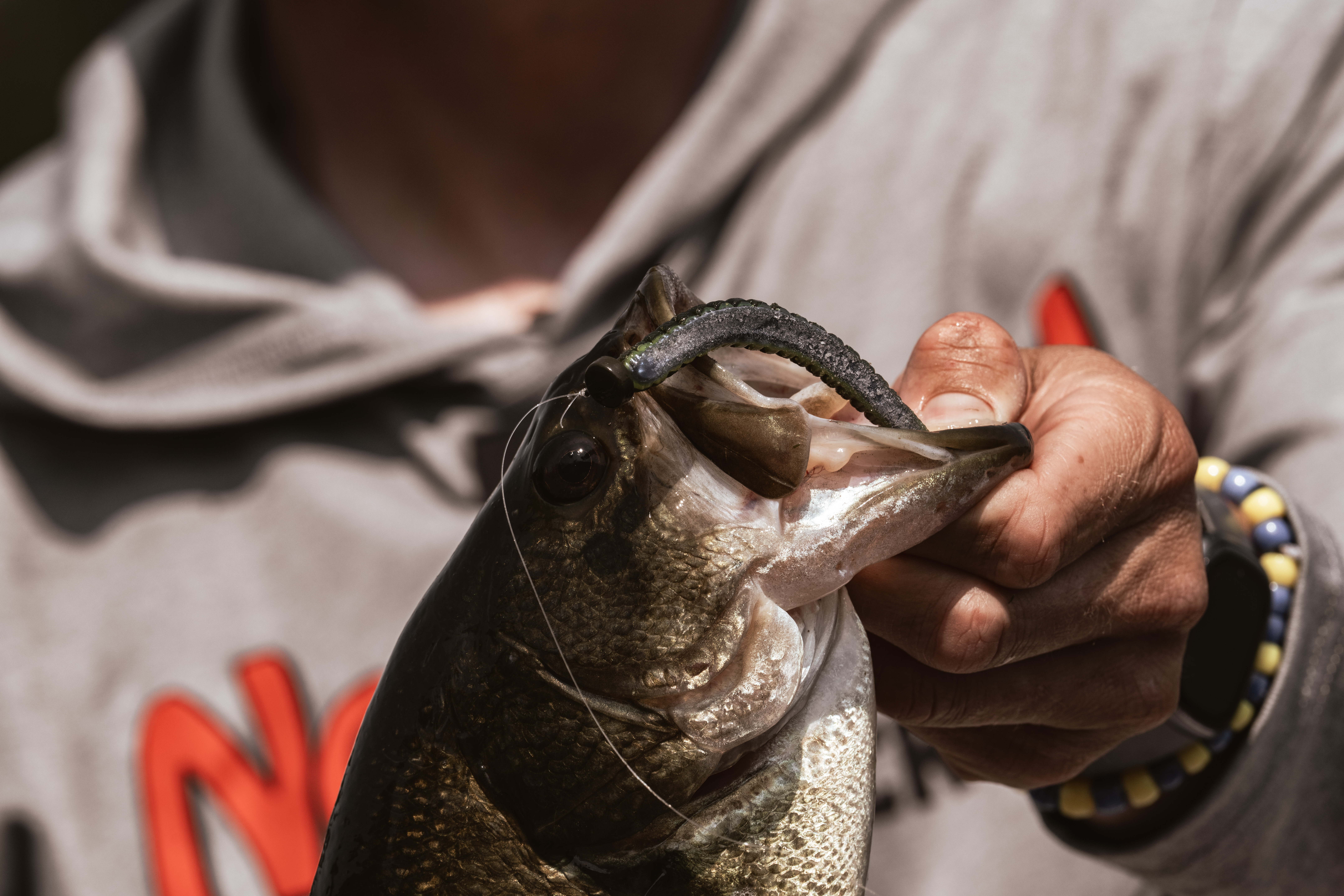 Summertime Bass Fishing System