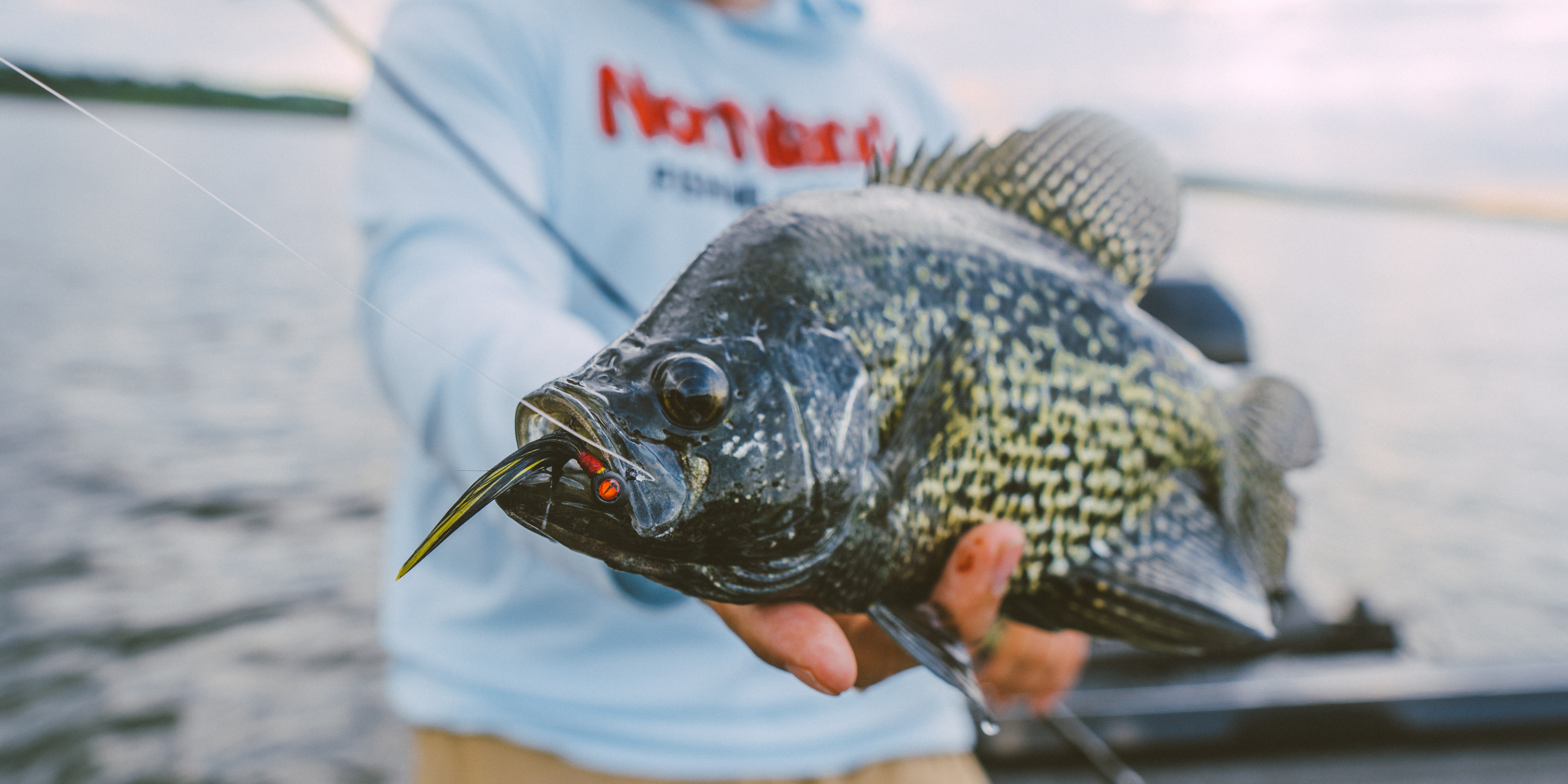 Tungsten Crappie Bou