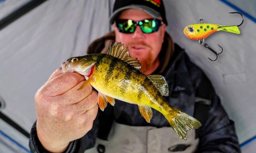 Perch Fishing Twitchin' Puppet