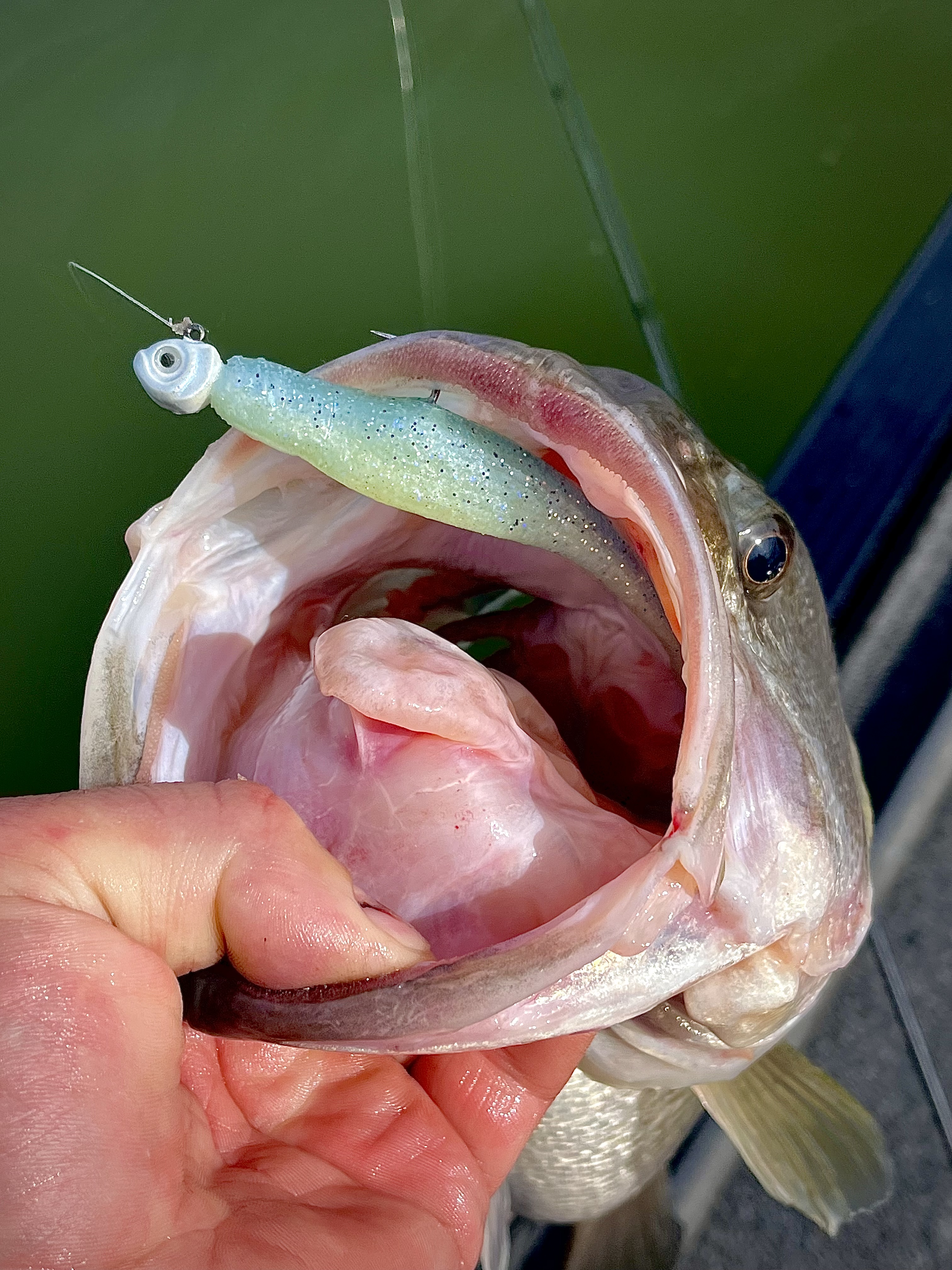 2024's Hottest New Color? | Northland Fishing Tackle 2024's Hottest New Color? | Northland Fishing Tackle