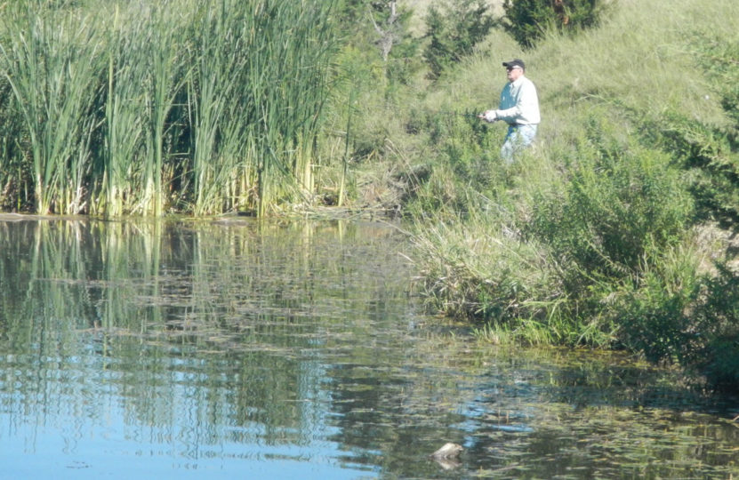 Angler fishing shallow water vegetation.