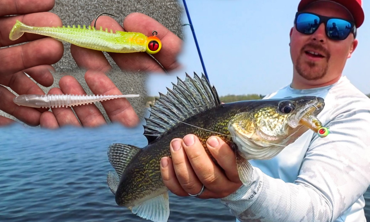 Walleye Minnows & Swimbaits Northland Fishing Tackle