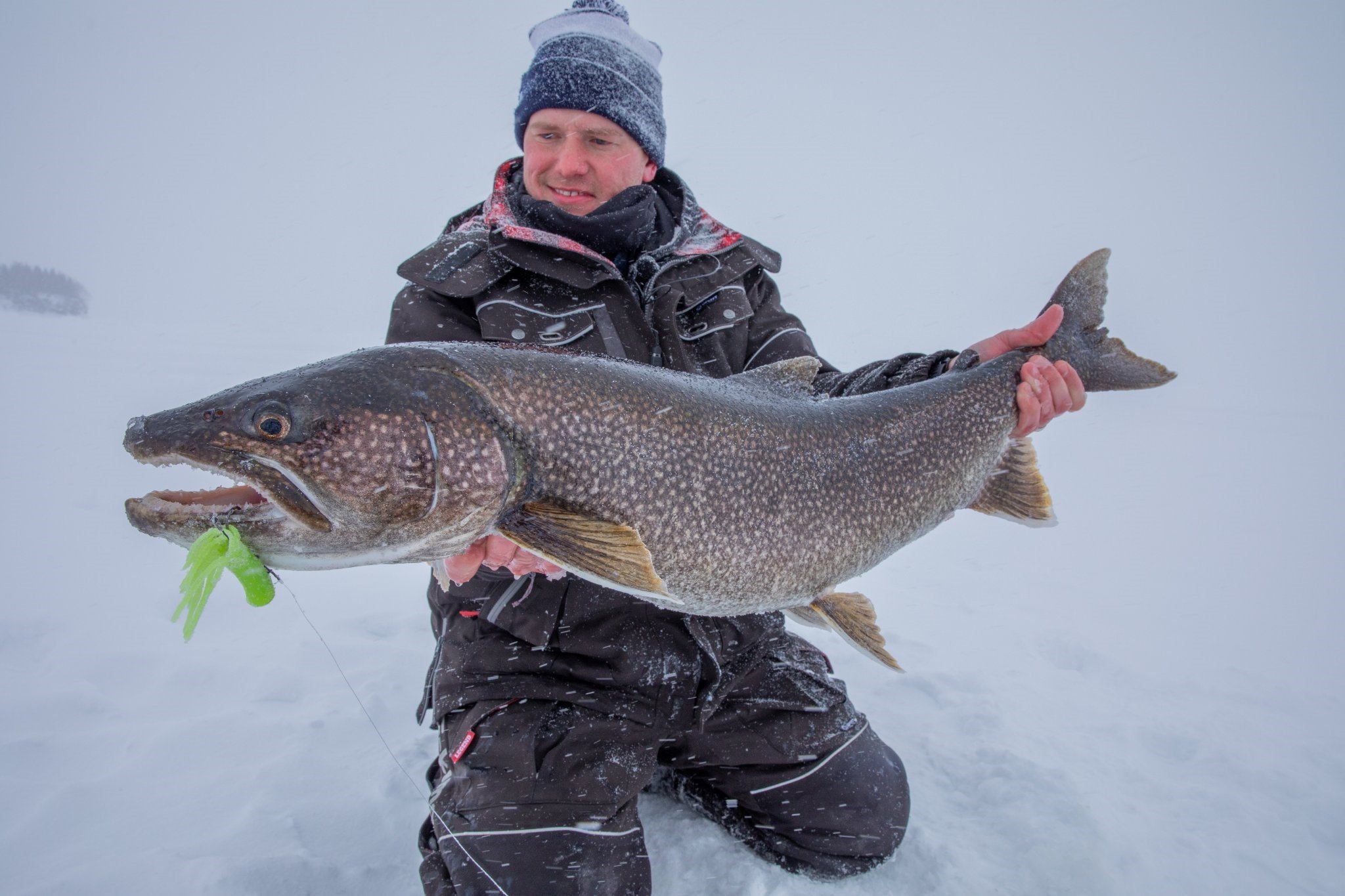 Superior Angling Lake Trout