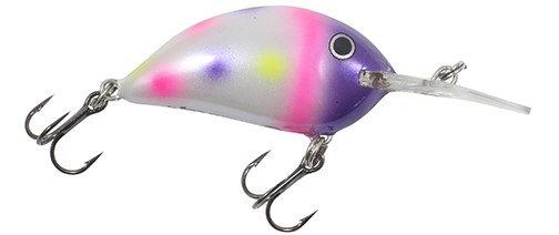 Rumble Bug crankbait in Purple Wonder color