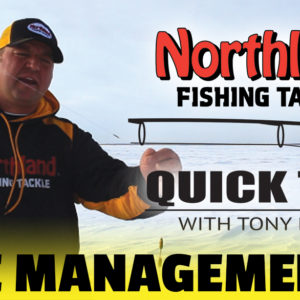 Quick Tips - Line Management - Tony Roach