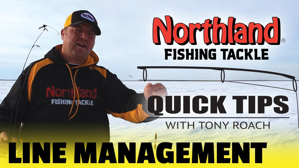 Quick Tips - Line Management - Tony Roach