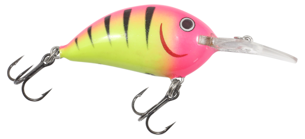 Rumble Bug crankbait in Bubblegum Tiger color