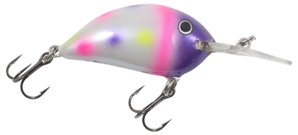 Rumble Bug crankbait in Purple Wonder color