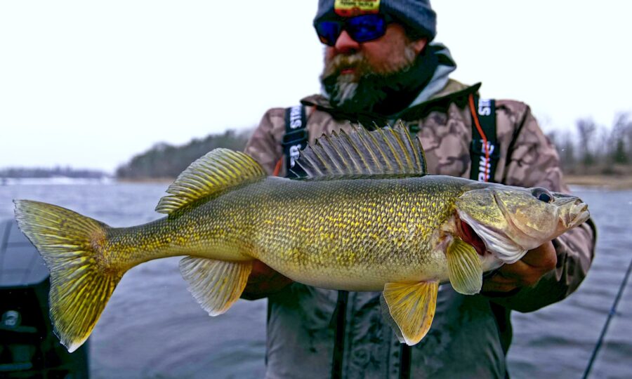 Rainy River Walleye Beatdown