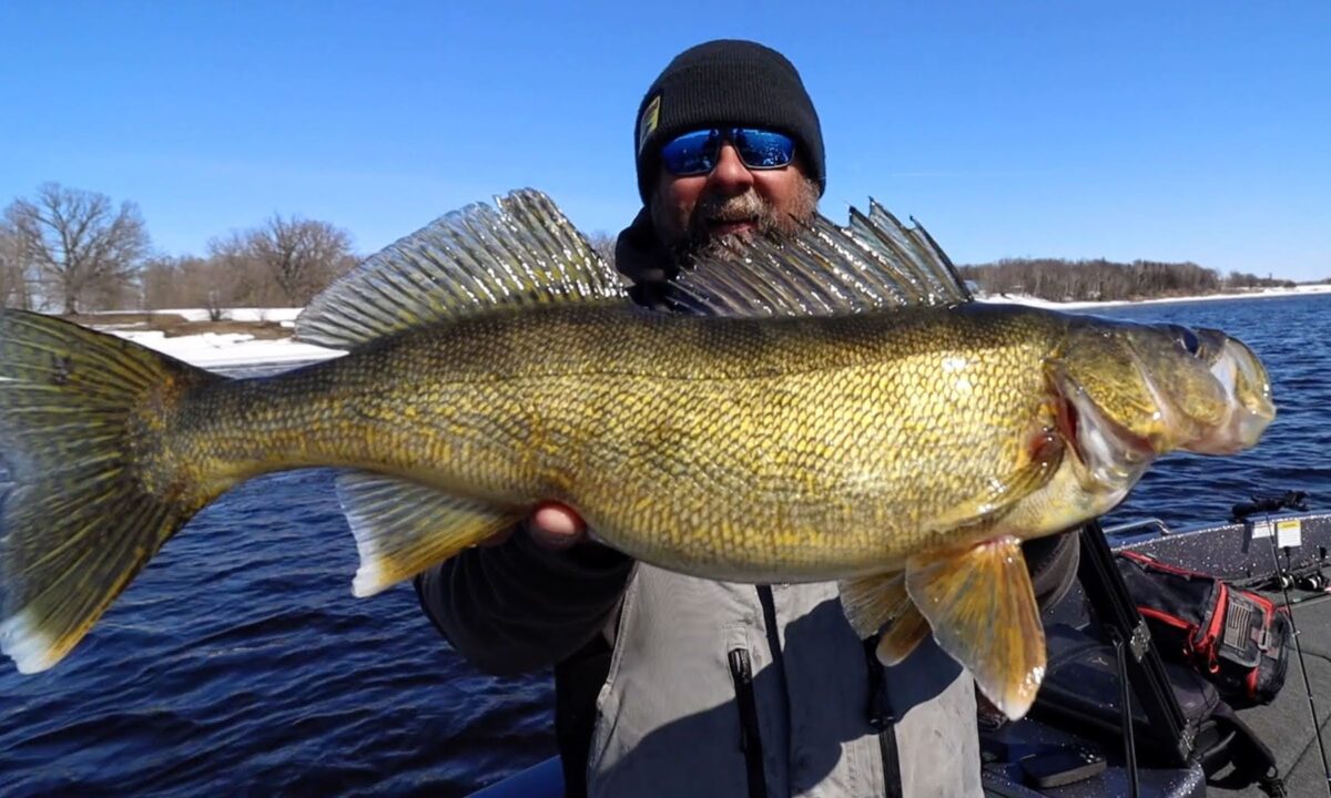 Rainy River Walleye Tips