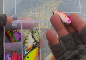 rattlebait