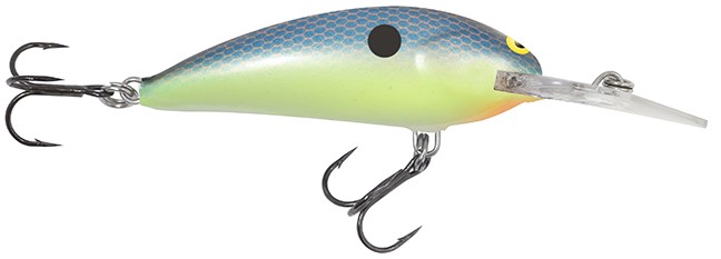 Rumble Shad Crankbait BSCD