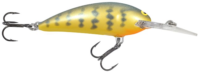 Rumble Shad (Orange Belly Gill)