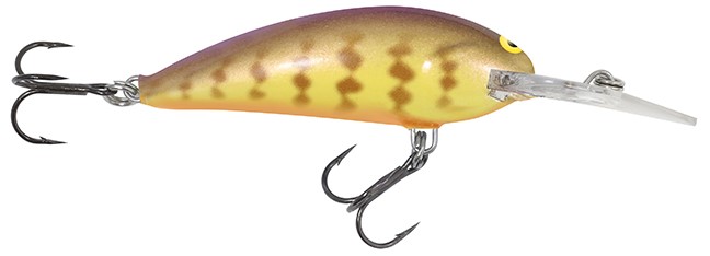 Rumble Shad (Purple Gill)