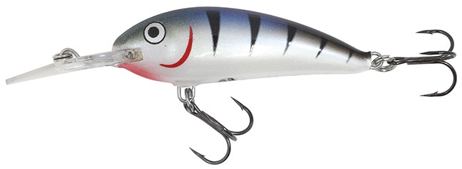 Rumble Shad crankbait in Blue Tiger color