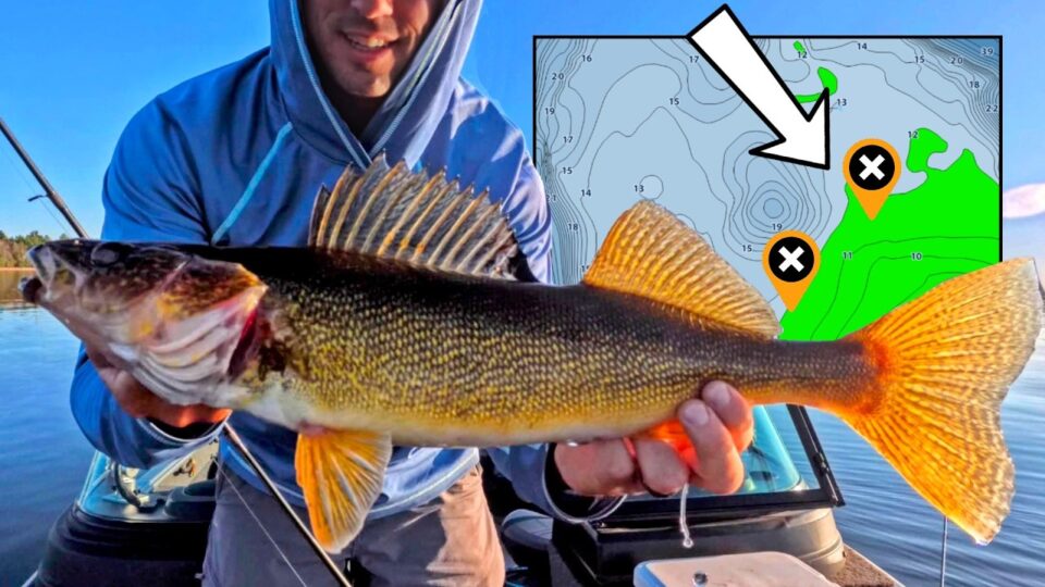 Best Walleye Lake Spots
