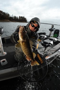 A fisherman fishing in the rain holding up a walleye he caught.