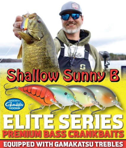 New Northland Fishing Tackle Elite Series Shallow Sunny B bass fishing crankbait.