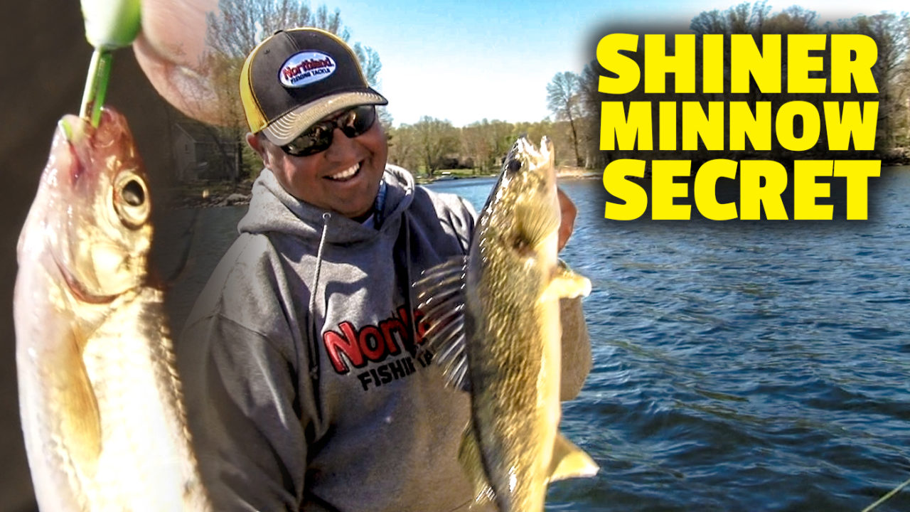 Hold Shiners on Longer with the Current Cutter Jig