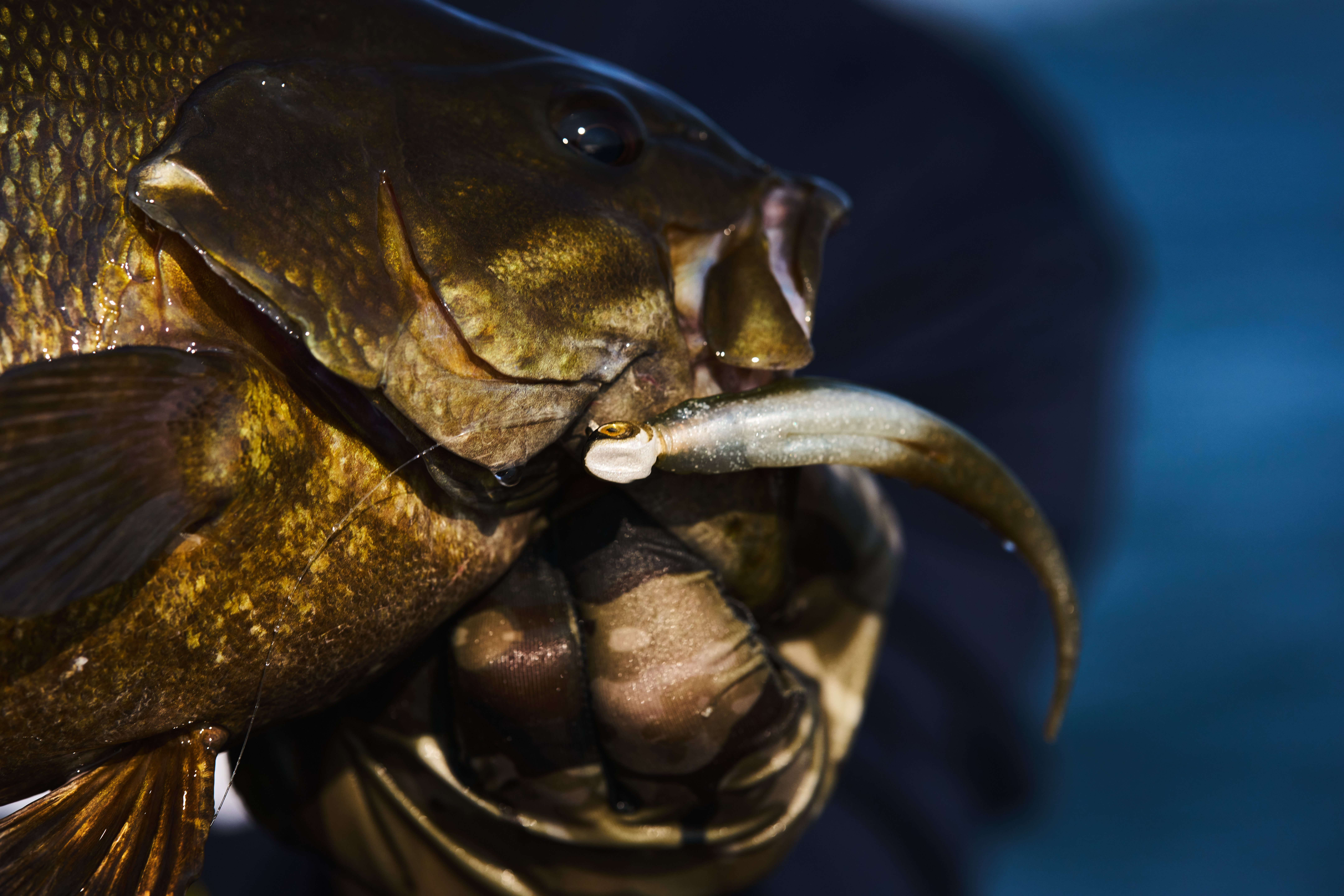 Smeltinator Big Bass Deal 01 Smeltinator Big Bass Deal