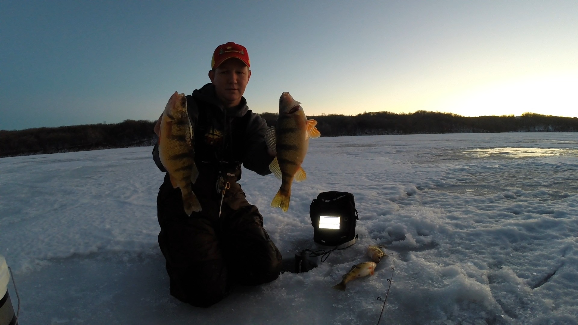 An angler in South Dakota holding up two jumbo yellow perch he caught.