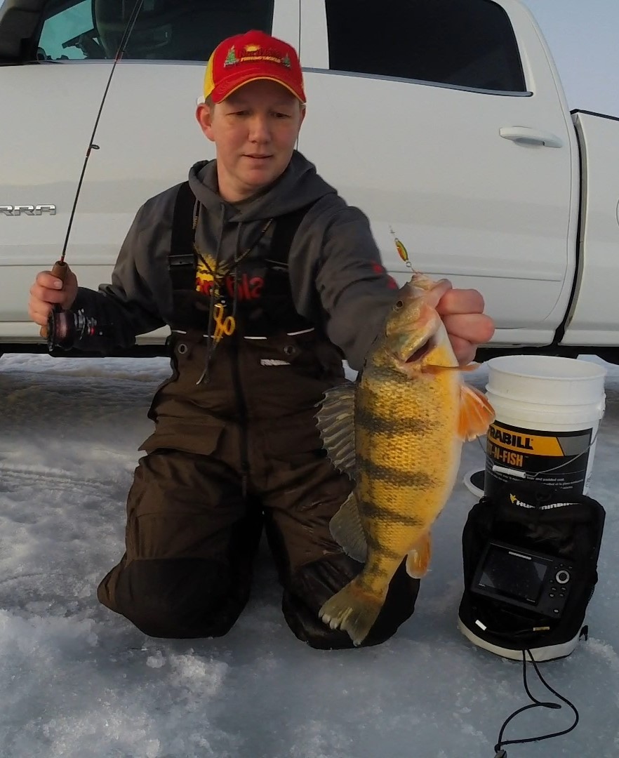 An ice fisherman holding up a yellow perch he caught when ice fishing.
