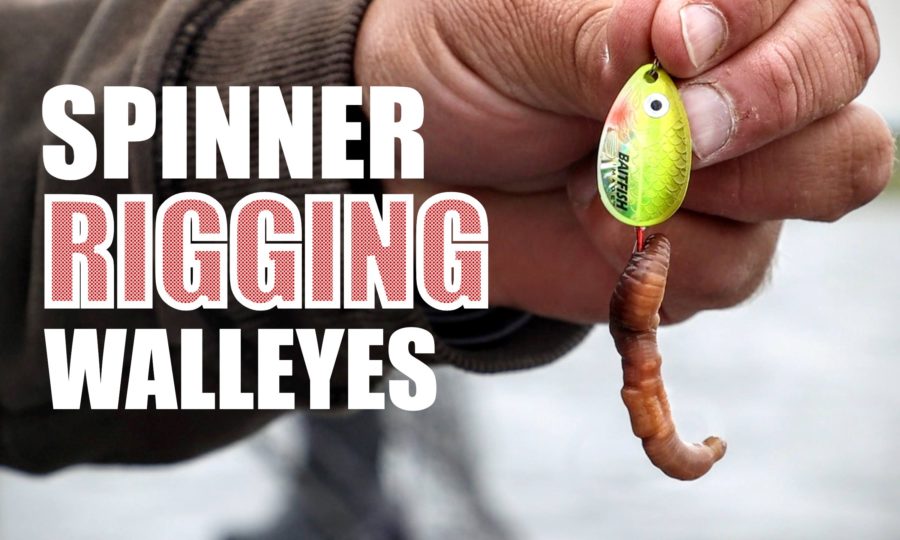Spinner Rig Walleye Essentials