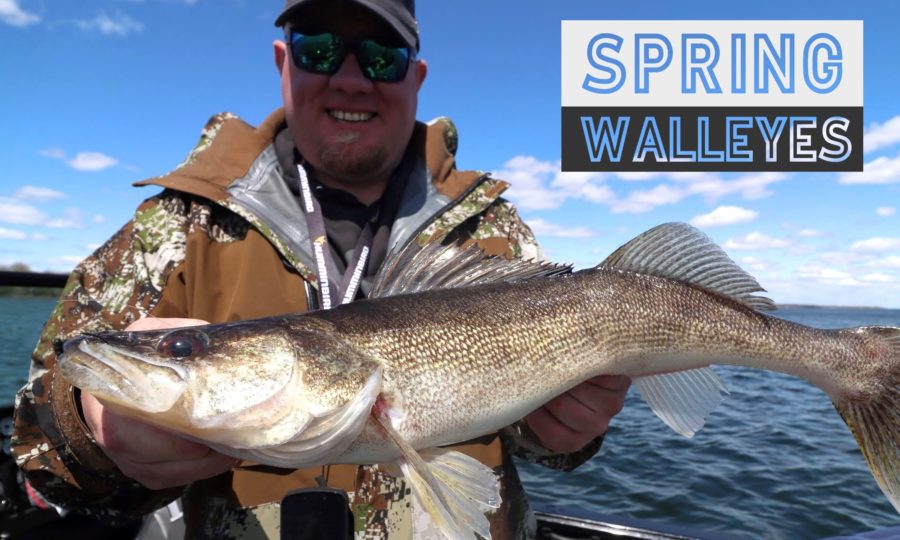 Jigging Spring Walleye