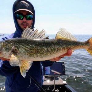 Deep Vee Spin Walleye Beatdown
