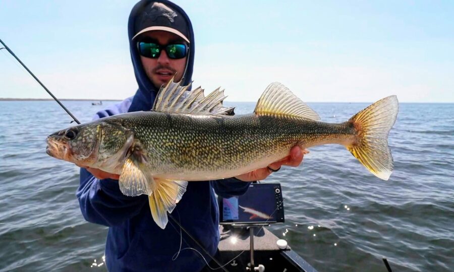 Deep Vee Spin Walleye Beatdown
