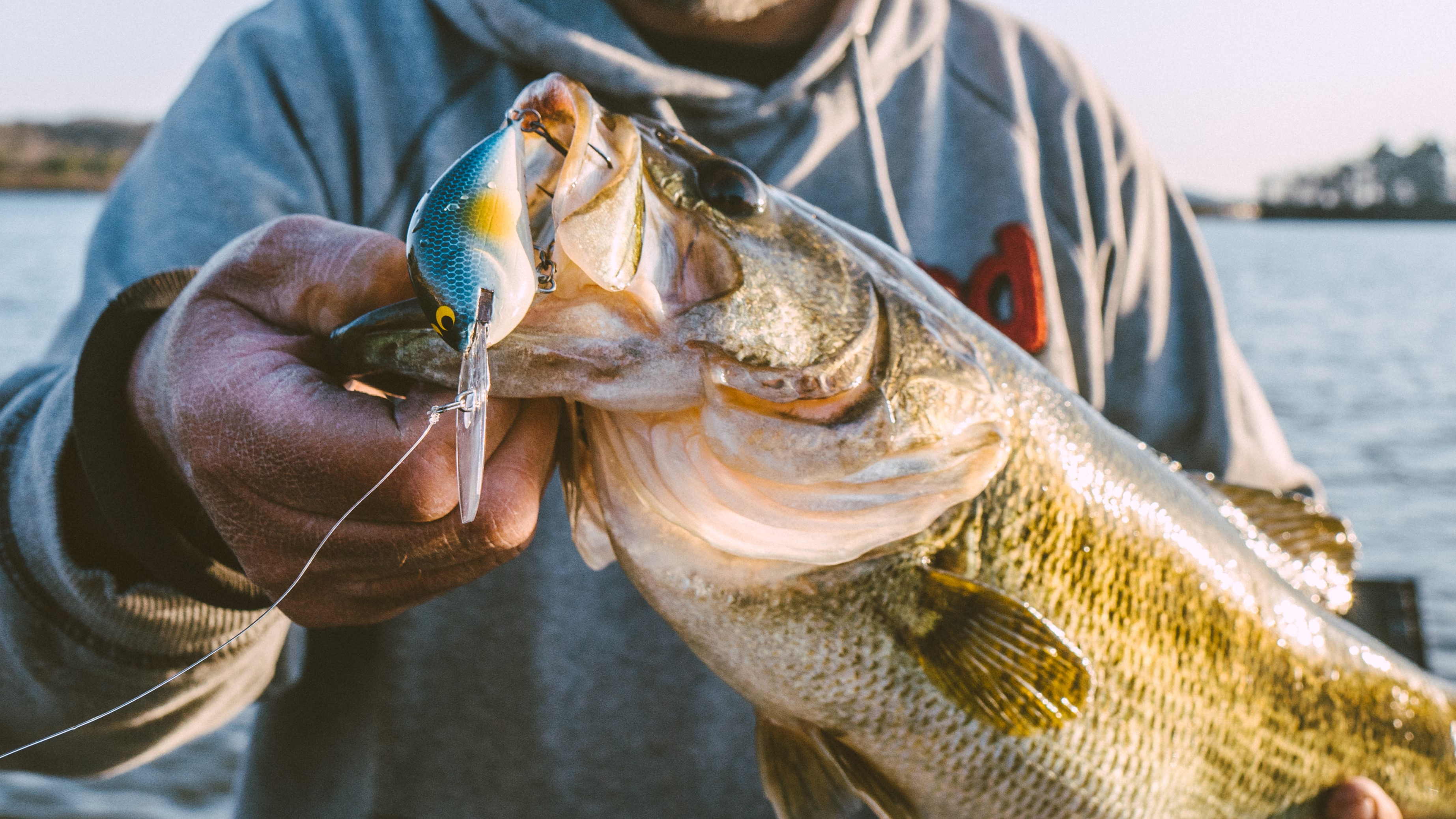 Gussy's Crankbait Fishing Tips