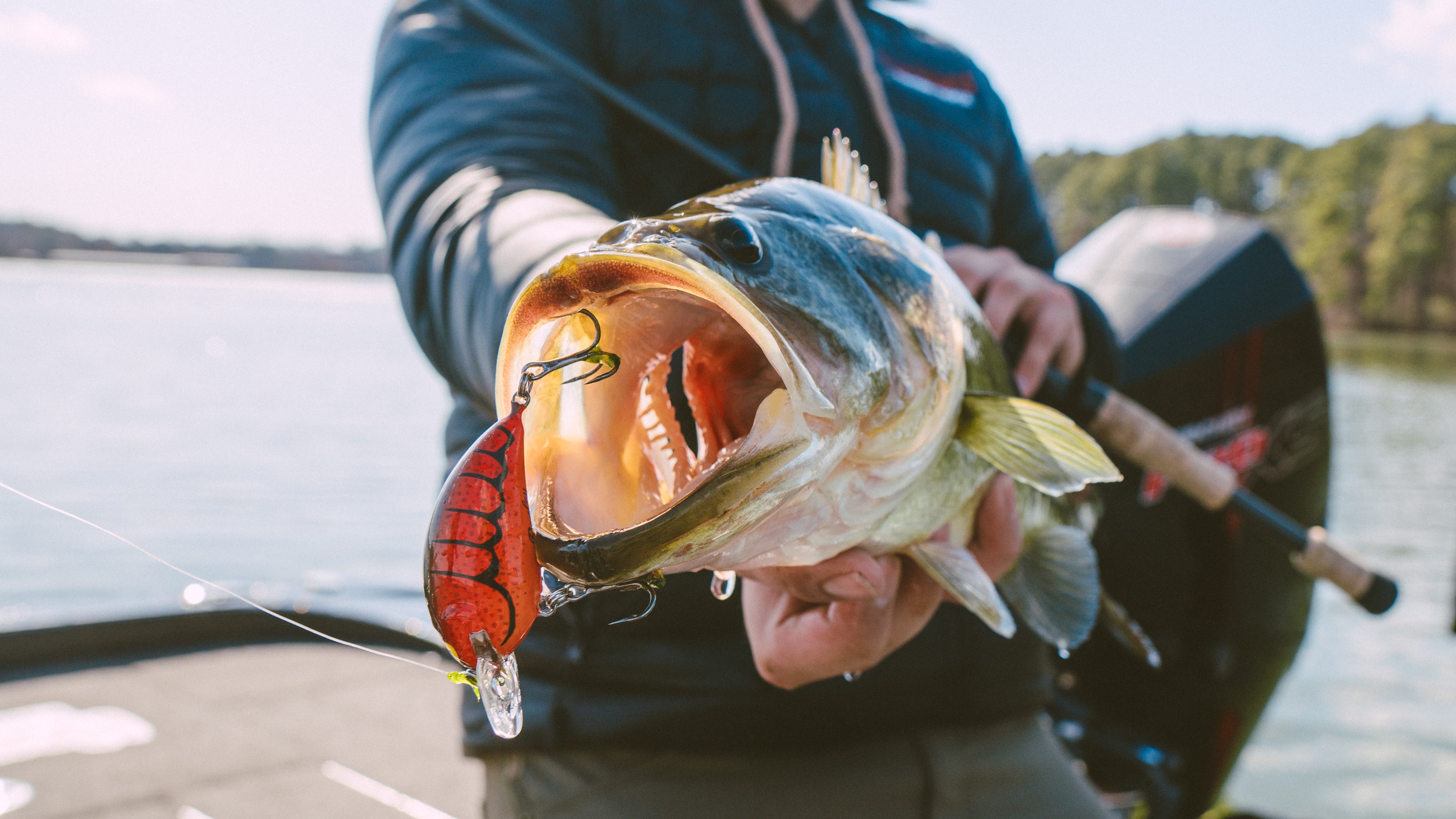 Gussy's Crankbait Fishing Tips