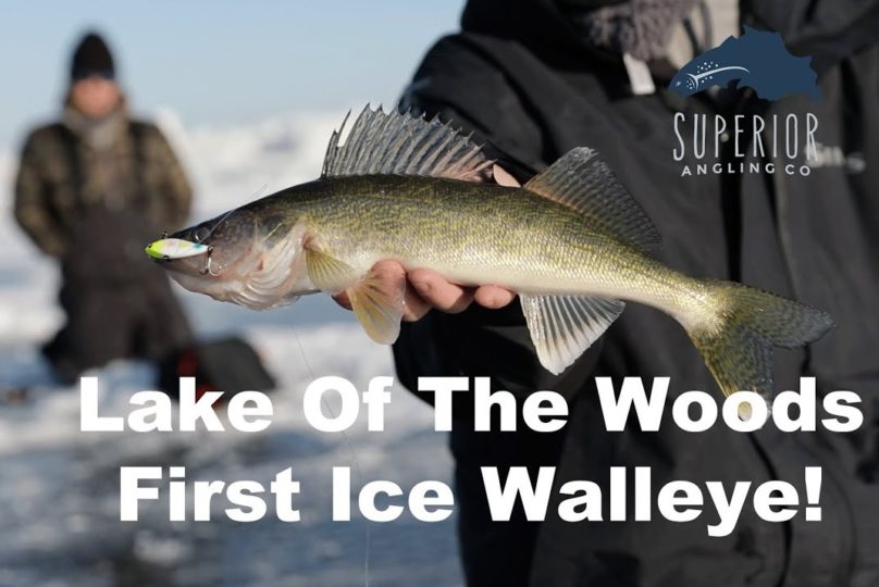 Early Ice Lotw Walleyes