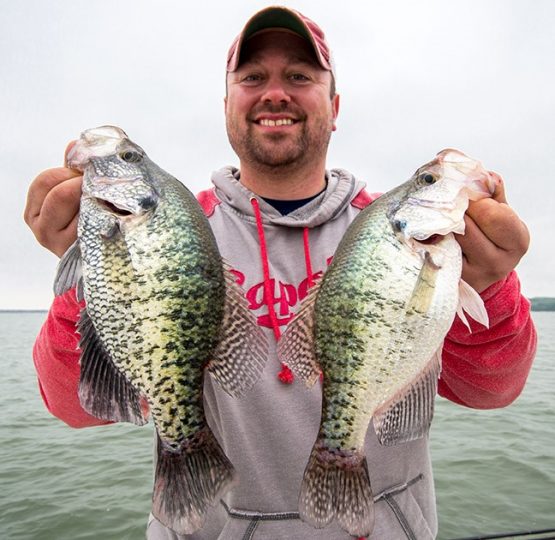 Open water crappies caught with Northland Fishing Tackle jigs.
