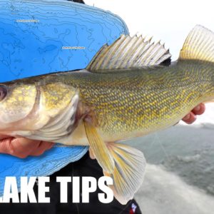 Red Lake Walleye Tips