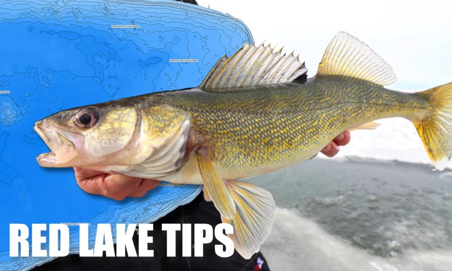Red Lake Walleye Tips