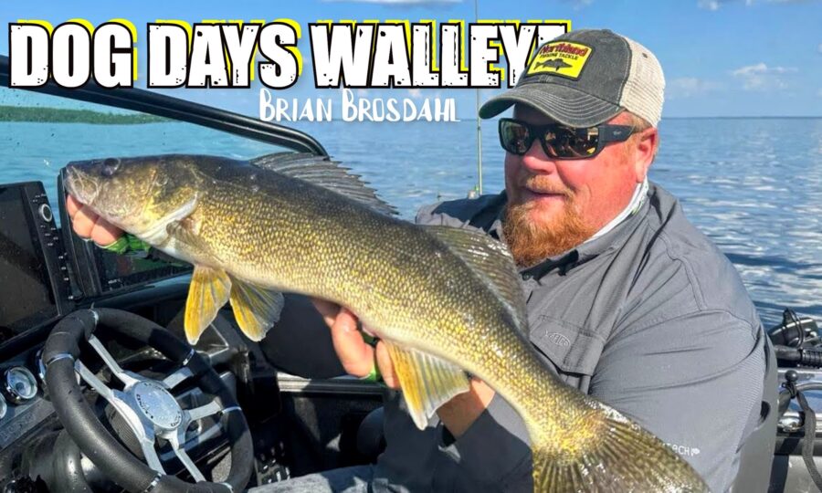 Summer Walleye Fishing Tips