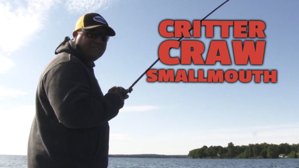 Tony Roach introduces the Mimic Minnow Critter Craw. This versatile bait features a custom stand up head designed allowing the bait to swim like a live defensive crayfish.
