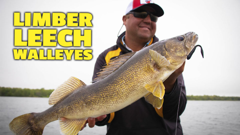Tony Roach introduces the Mimic Minnow Limber Leech.