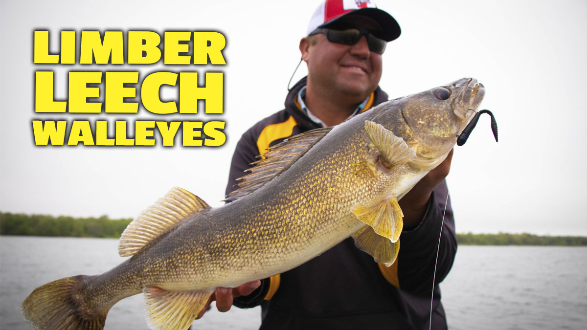 Tony Roach introduces the Mimic Minnow Limber Leech.