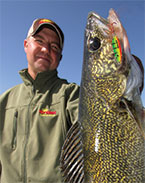 Tony Roach with a walleye caught on the UV Buck-Shot Rattle Spoon